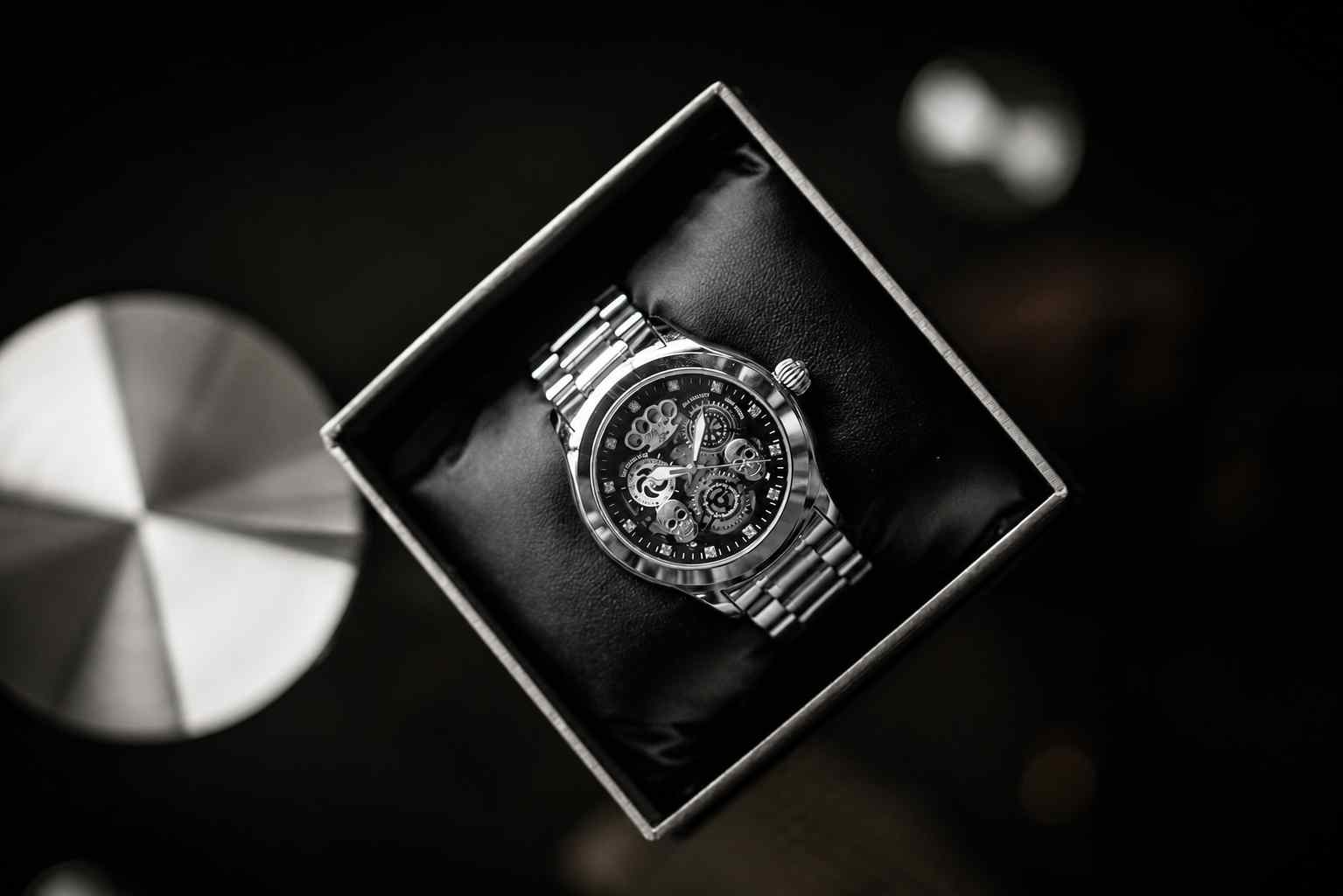 MVL "Double skull" automatic wrist watch - silver/silver